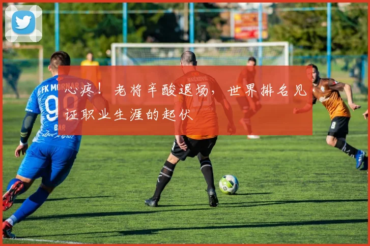 心疼!老将辛酸退场,世界排名见证职业生涯的起伏