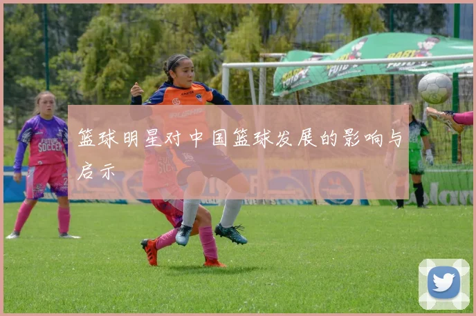 篮球明星对中国篮球发展的影响与启示