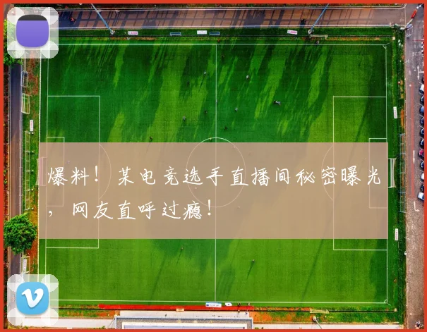 爆料!某电竞选手直播间秘密曝光,网友直呼过瘾!